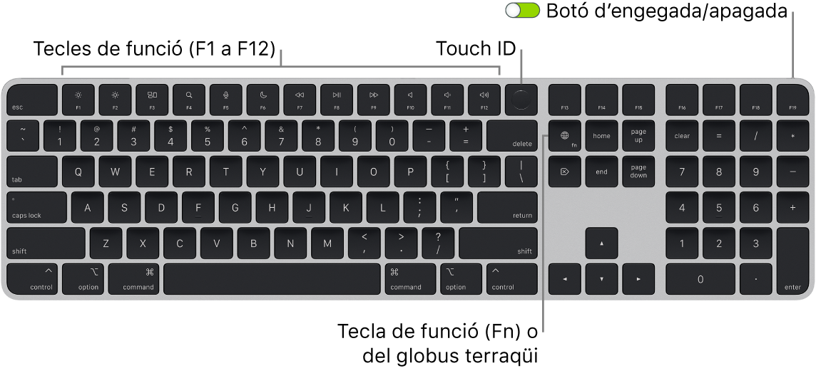 Un Magic Keyboard amb Touch ID i teclat numèric, en què es veu la filera de tecles de funció amb el Touch ID a la part superior i la tecla de funció (Fn) o del globus terraqüi a la dreta de la tecla Eliminar.