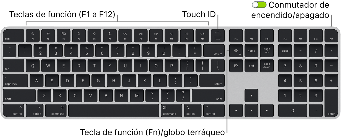 Magic Keyboard con Touch ID y teclado numérico, con la fila de teclas de función y Touch ID en la parte superior, y la tecla del globo terráqueo o función (Fn) a la derecha de la tecla Suprimir.