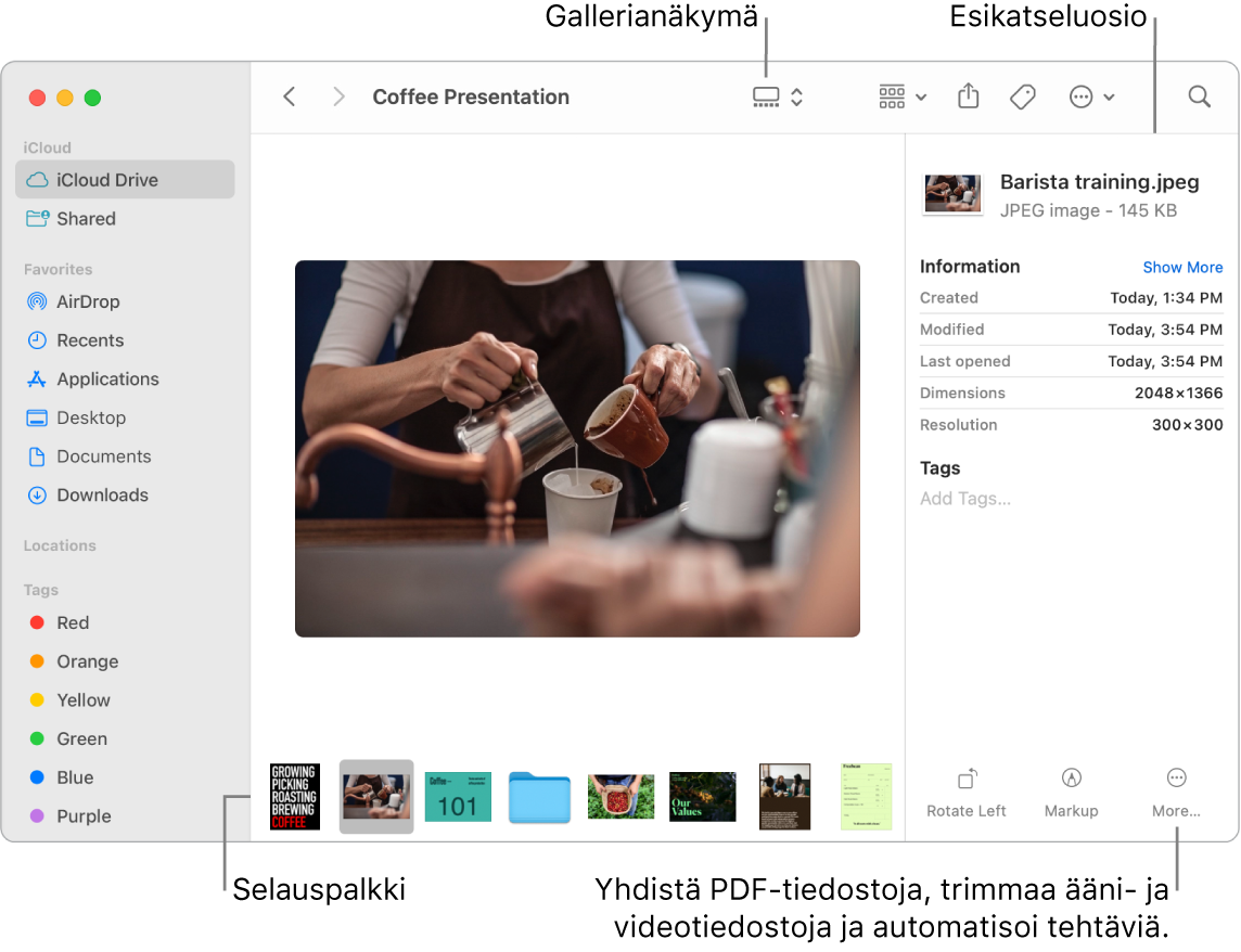 Avoin Finder-ikkuna gallerianäkymässä, jossa on suuri valokuva ja sen alla rivi pienempiä kuvia (eli selainpalkki). Selauspalkin oikealla puolella näkyvät säätimet muun muassa pyörittämiselle ja merkinnöille.