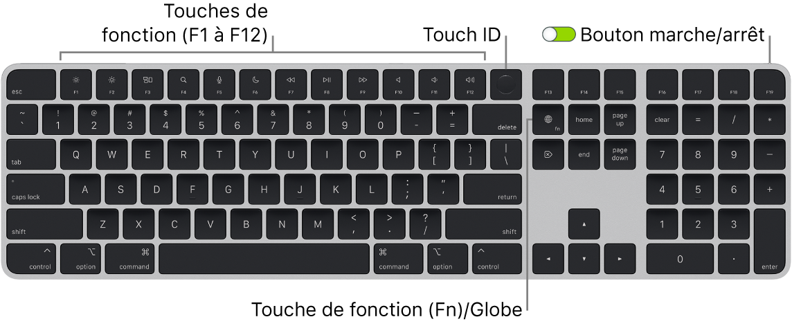 Le Magic Keyboard avec Touch ID et pavé numérique affichant le rang des touches de fonction et le capteur Touch ID en haut, ainsi que la touche Fonction (Fn)/Globe à droite de la touche Supprimer.