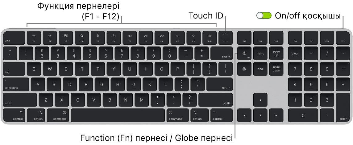 Функциялық пернелер жолын және жоғарғы жақтағы Touch ID тақтасын және Delete пернесінің оң жағындағы Function (Fn)/Globe пернесін көрсетіп тұрған Touch ID құралы және Numeric Keypad тақтасы бар Magic Keyboard пернетақтасы.