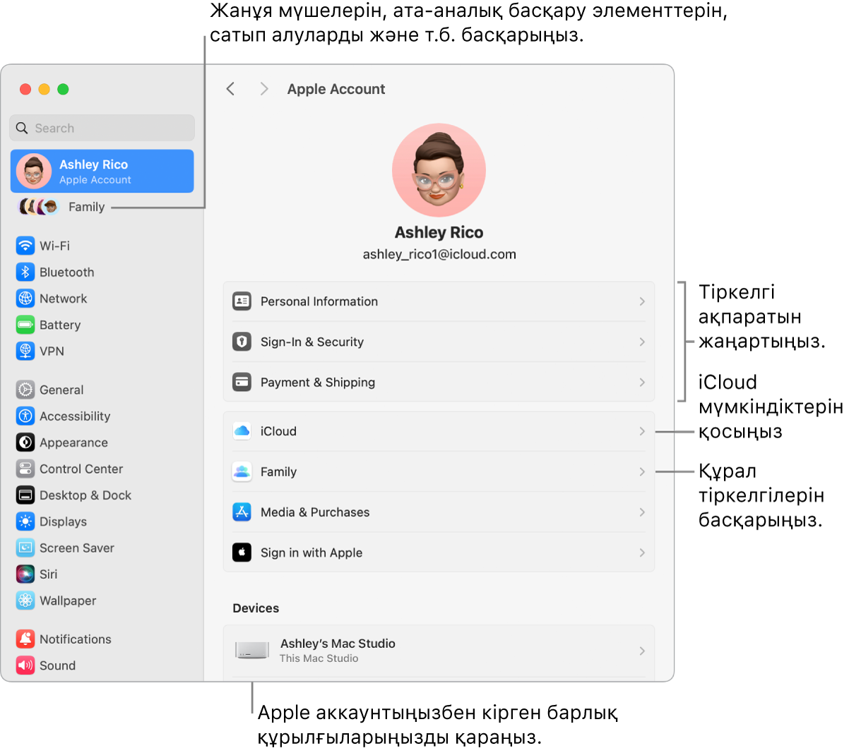 Аккаунт ақпаратын жаңарту, iCloud мүмкіндіктерін қосу немесе өшіру, медиа аккаунттарын басқару үшін тілше деректері бар System Settings терезесіндегі және ішінде отбасы мүшелерін, ата-аналық бақылауларды, сатып алуларды және т.б. басқаруға болатын Family терезесіндегі Apple аккаунтының параметрлері.