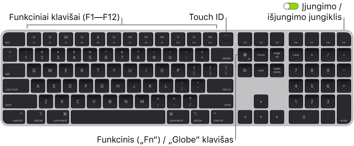 „Magic Keyboard“ su „Touch ID“ ir skaitmenų klaviatūra, viršuje matosi funkcinių klavišų eilė, „Touch ID“, o klavišo „Delete“ dešinėje – klavišas „Function“ („Fn“) / „Globe“.