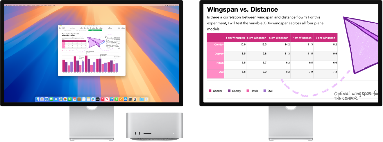 Funkcija Zoom Display ir aktīva labās puses monitorā; kreisajā monitorā tiek saglabāts normālais ekrāna izmērs.