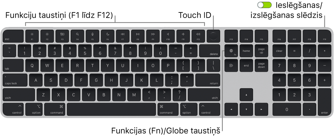 Tastatūra Magic Keyboard ar Touch ID un ciparu tastatūra, kam augšdaļā redzama funkciju taustiņu rinda un Touch ID, bet pa labi no taustiņa Delete — taustiņš Function (Fn)/Globe.