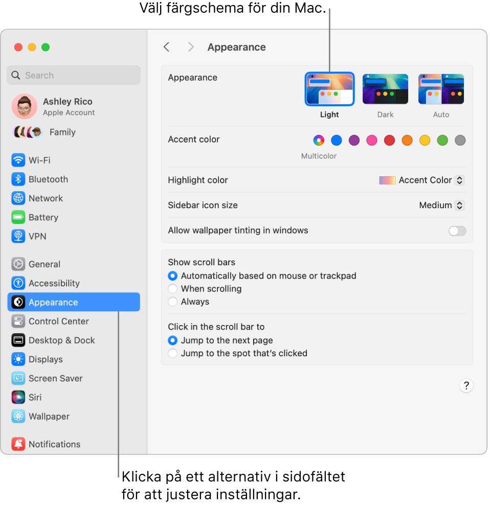 Systeminställningsfönstret.