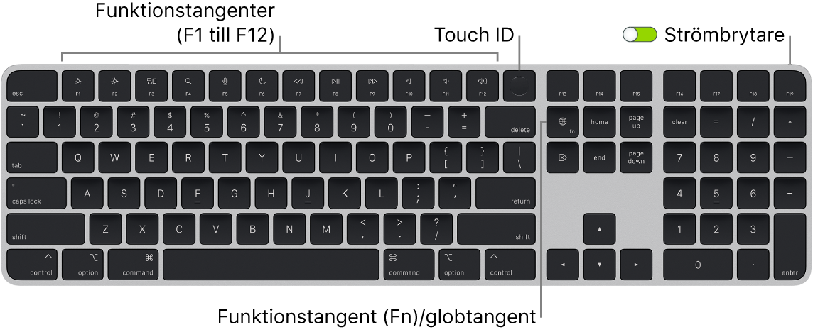 Magic Keyboard med Touch ID och numeriskt tangentbord där raden med funktionstangenter och Touch ID visas längs överkanten och funktions (Fn)-/globtangenten till höger om backstegstangenten.