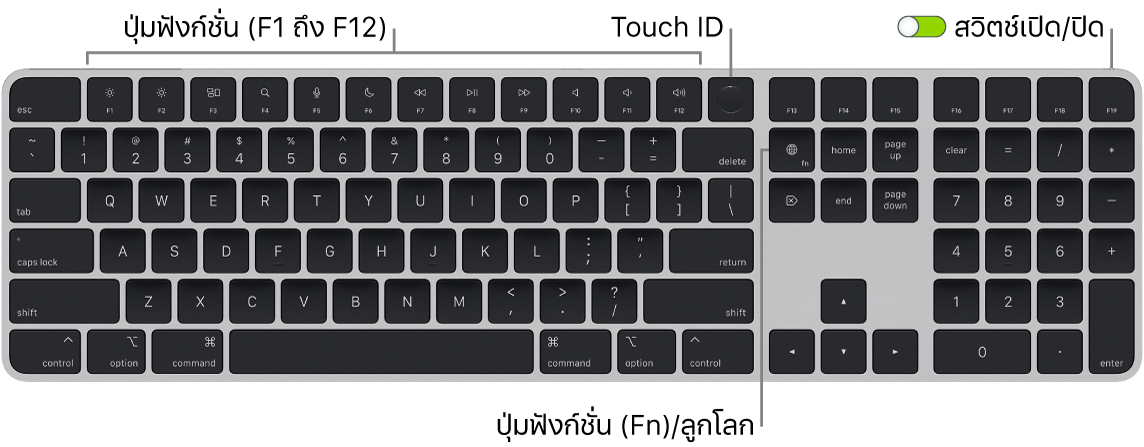 Magic Keyboard ที่มี Touch ID และปุ่มตัวเลขที่แสดงแถวของปุ่มฟังก์ชั่นและ Touch ID ตลอดแนวด้านบนสุด และปุ่มฟังก์ชั่น (Fn)/ลูกโลกที่ด้านขวาของปุ่ม Delete