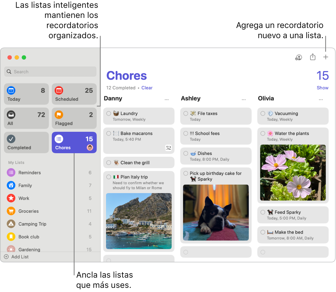 Una ventana de la app Recordatorios con listas inteligentes en el lado izquierdo, y otros recordatorios y listas debajo. El puntero está en un recordatorio. Hay globos para las listas inteligentes y para el botón Agregar un nuevo recordatorio.