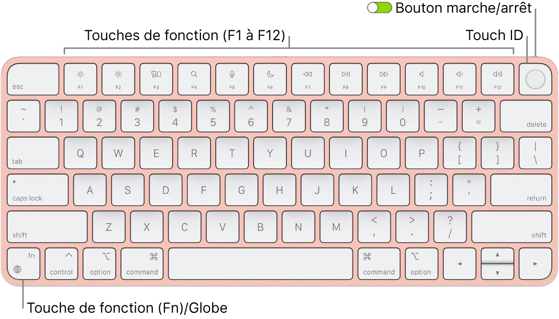 Le Magic Keyboard avec Touch ID affichant le rang des touches de fonction et le capteur Touch ID en haut, ainsi que la touche Fonction (Fn)/Globe dans le coin inférieur gauche.