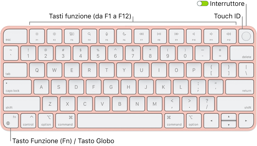 La tastiera Magic Keyboard con Touch ID che mostra i tasti funzione e Touch ID in alto e il tasto Funzione (Fn)/Globo nell'angolo in basso a sinistra.