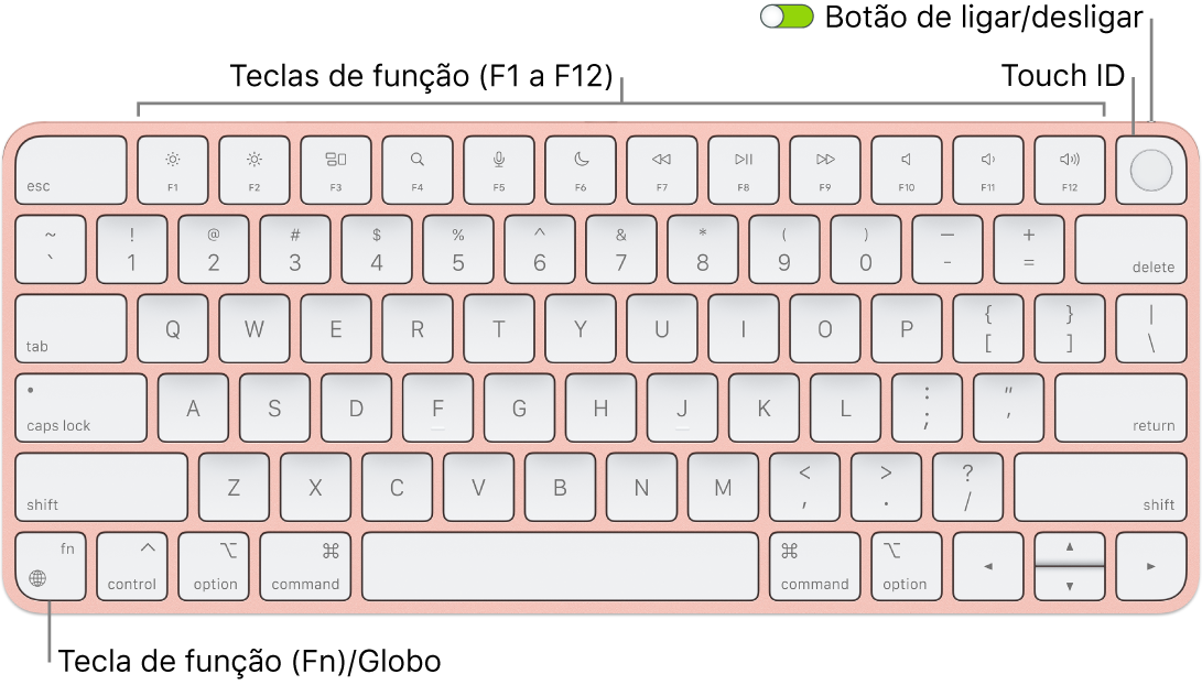 Teclado Magic Keyboard com Touch ID a mostrar a linha de teclas de função e Touch ID na parte superior, e a tecla de função (Fn)/Globo no canto inferior esquerdo.