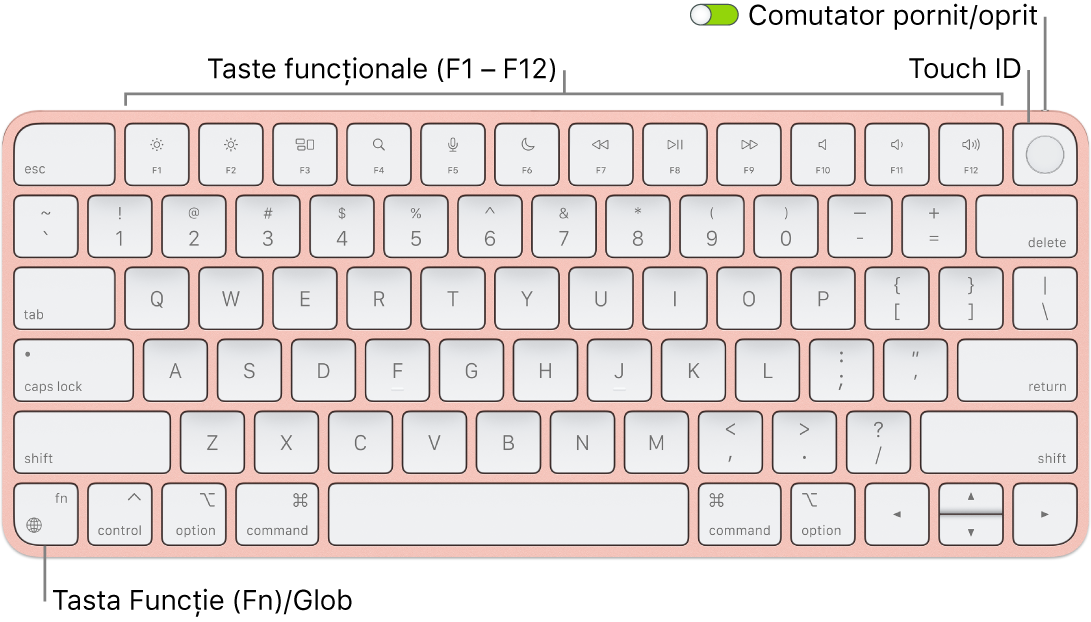 Tastatura Magic Keyboard cu Touch ID afișând rândul de taste funcționale și senzorul Touch ID în partea de sus, precum și tasta Funcție (Fn)/Glob în colțul stânga jos.