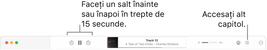 Playerul pentru cărți audio din aplicația Cărți afișează, de la stânga la dreapta, butonul Viteză de redare, butoanele Salt înainte, Redare/Suspendare și Salt înapoi, titlul și autorul cărții audio aflate în redare, glisorul Volum, butonul AirPlay, butonul Tablă de materii și butonul Mai multe.