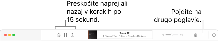 Predvajalnik zvočnih knjig v storitvi Apple Books, kjer so od leve proti desni prikazani: gumb Hitrost predvajanja, gumb Preskoči naprej, gumb Začasno ustavi, gumb Preskoči nazaj, naslov in avtor trenutno predvajane zvočne knjige, drsnik Glasnost, gumb AirPlay, gumb Kazalo vsebine in gumb za več možnosti.