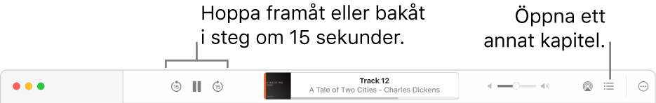 Ljudboksspelaren i Böcker visar (från vänster till höger) knappen för uppspelningshastighet, knapparna för att hoppa framåt, pausa och hoppa bakåt, titeln och författaren på ljudboken som spelas upp just nu, volymreglaget, AirPlay-knappen, knappen för innehållsförteckningen och merknappen.