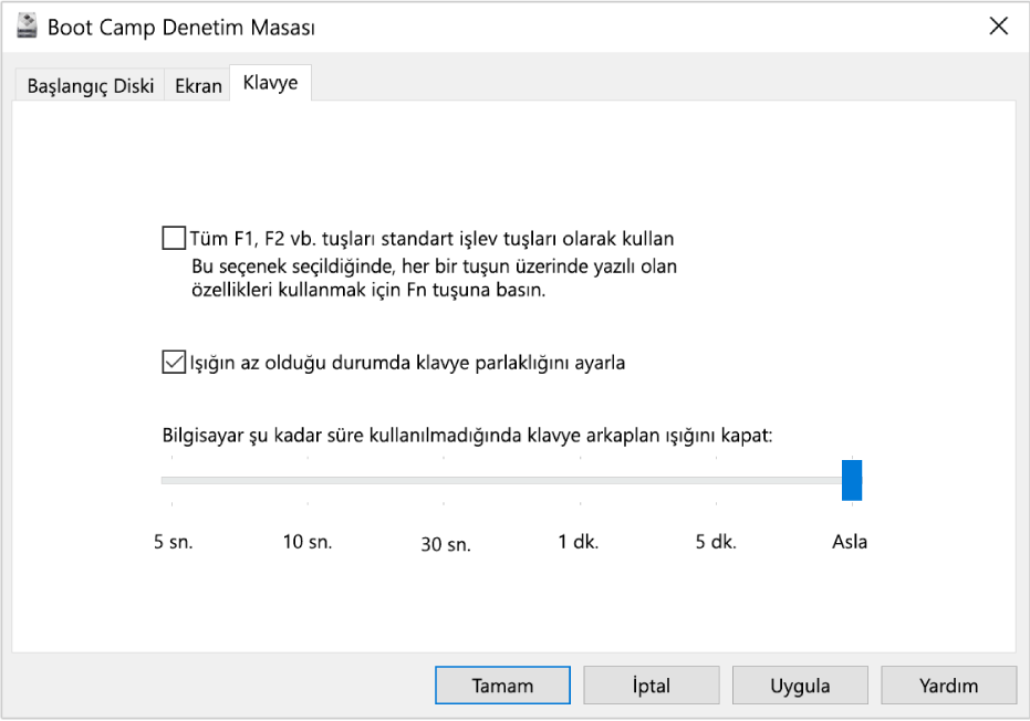 Boot Camp Denetim Masası, klavye parlaklığı ve işlev tuşlarının çalışma şekli ile ilgili ayarları seçebileceğiniz Klavye seçenekleri bölümünü gösteriyor.