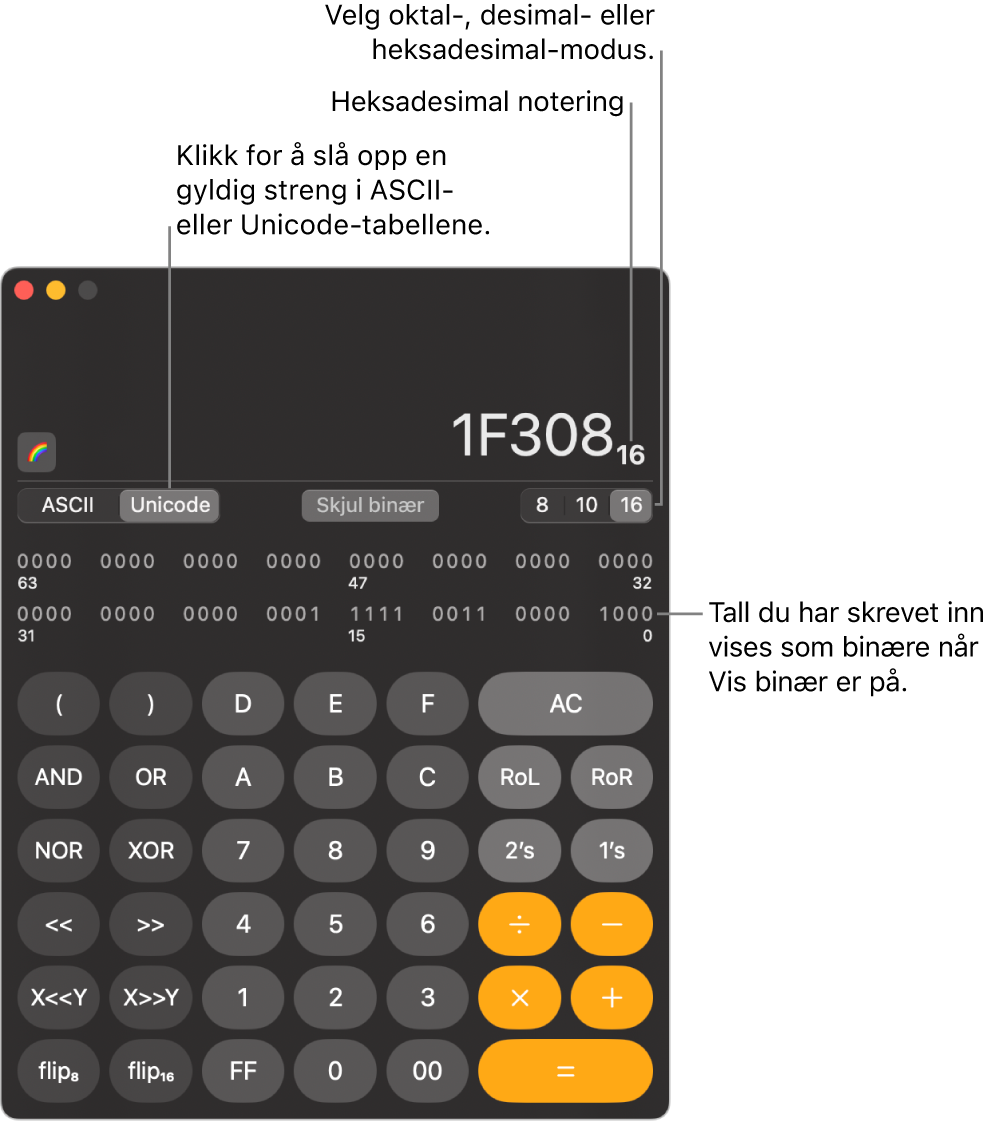 En kalkulator i programmerermodus.