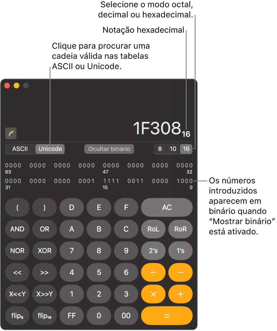 Uma calculadora no modo de programador.