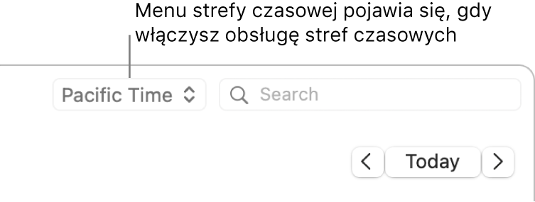 Menu strefy czasowej jest wyświetlane po lewej stronie pola wyszukiwania (jeśli włączysz obsługę stref czasowych)