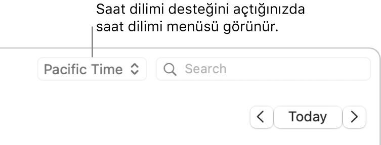 Saat dilim desteğini açtığınızda, arama alanının solunda saat dilimi menüsü görünür