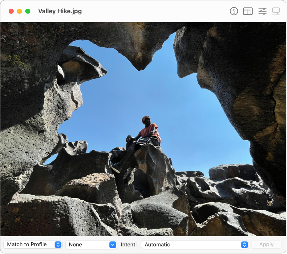 Janela do Utilitário ColorSync mostrando a imagem de um homem sentado em uma prancha de surfe no oceano ou em uma baía.