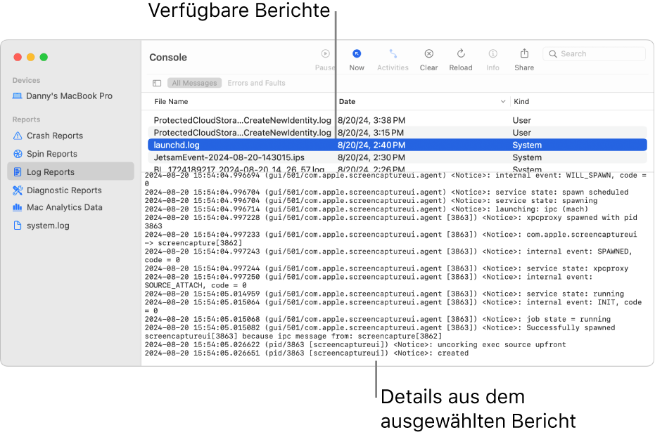 Das Fenster „Konsole“ mit den Kategorien der Berichte in der Seitenleiste, den Berichten oben und in der Spalte rechts daneben und den Details der Berichte darunter.