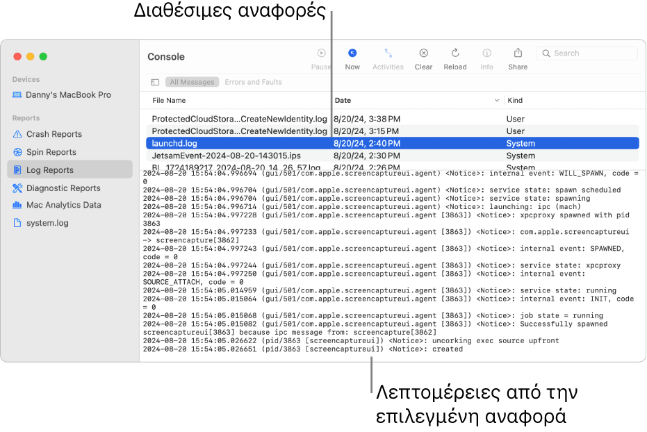 Το παράθυρο της Κονσόλας όπου φαίνονται οι κατηγορίες αναφορών στην πλαϊνή στήλη, αναφορές στο πάνω μέρος και στα δεξιά της πλαϊνής στήλης και οι λεπτομέρειες αναφοράς από κάτω.