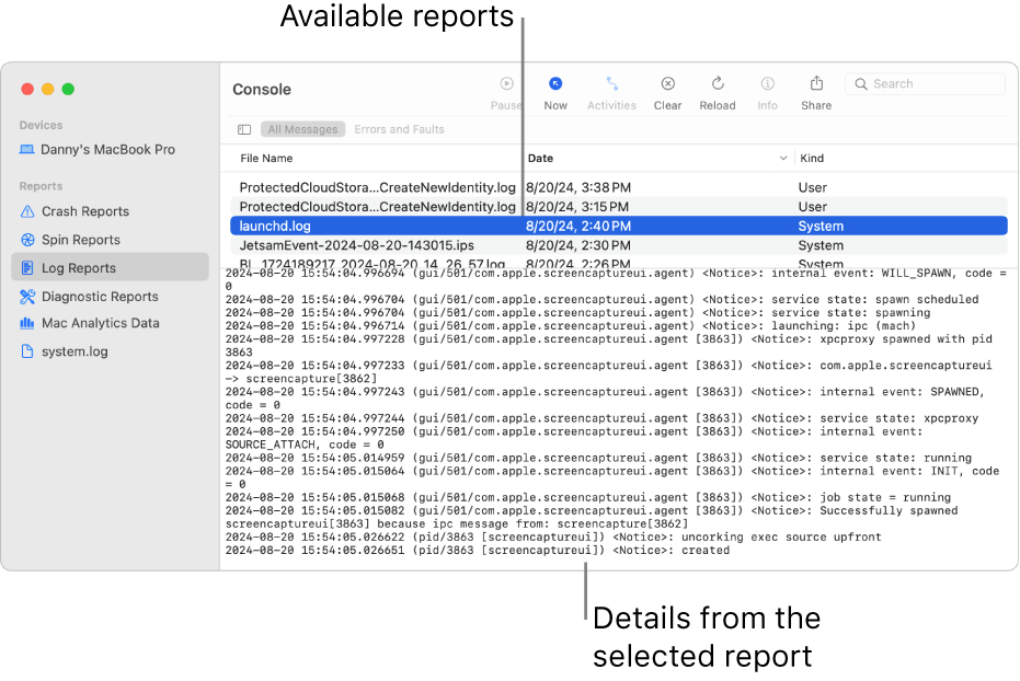 The Console window showing report categories in the sidebar, reports on the top and to the right of the sidebar, and report details below.