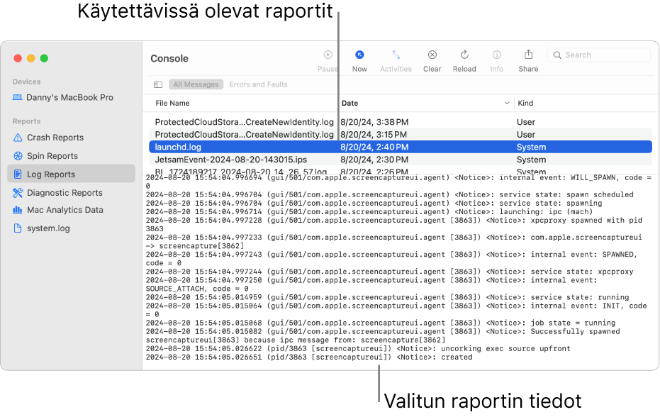 Konsoli-ikkuna, jossa ovat raporttikategoriat sivupalkissa, raportit ylhäällä sivupalkin oikealla puolella ja raportin tiedot alla.