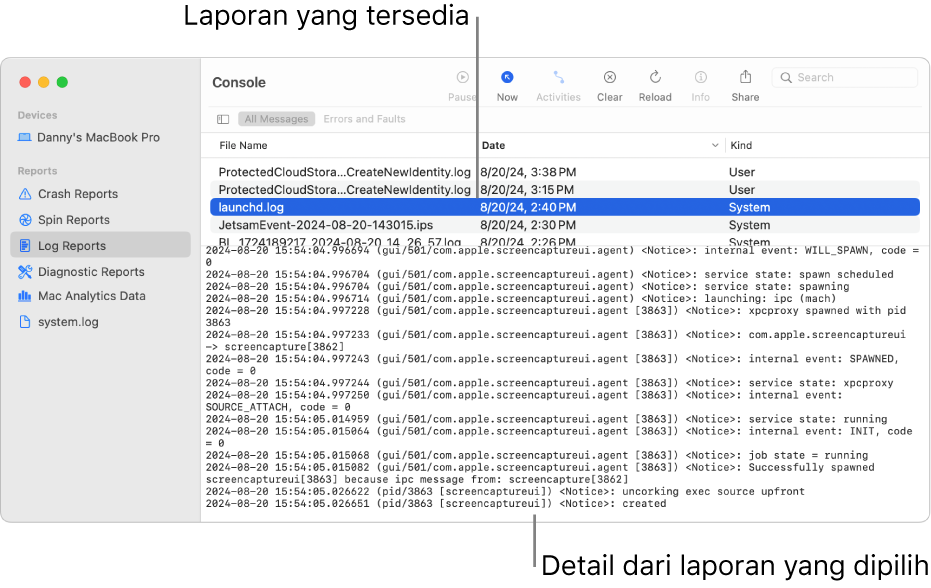 Jendela Konsol menampilkan kategori laporan di bar samping, laporan di bagian atas dan di sebelah kanan bar samping, dan detail laporan jauh di bawah.
