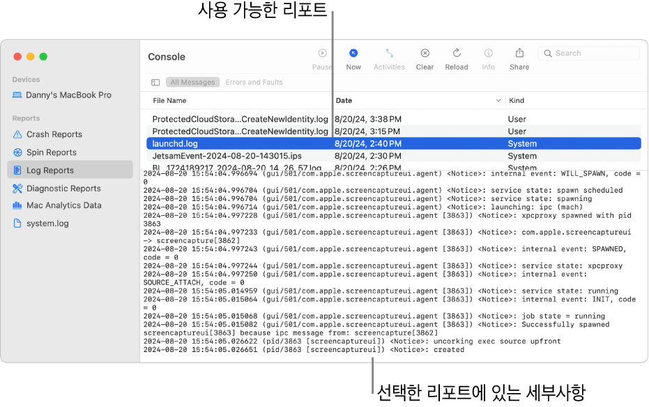 사이드바에 리포트 카테고리, 상단 및 사이드바의 오른쪽에 리포트, 아래에 리포트 세부사항이 있는 콘솔 윈도우.