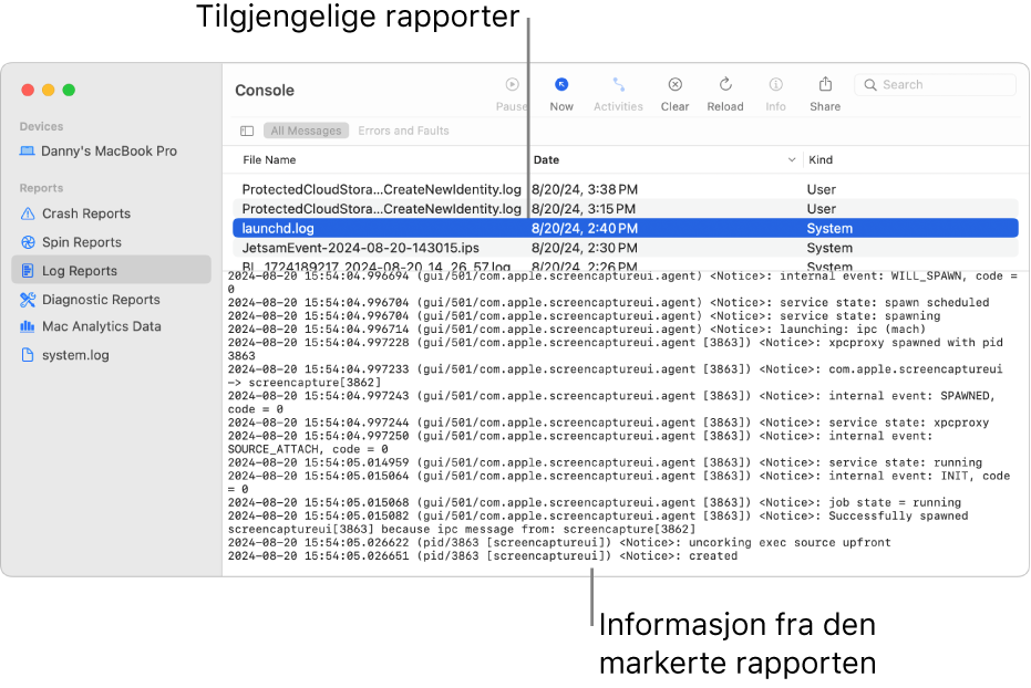 Konsoll-vinduet, som viser rapportkategorier i sidepanelet, rapporter øverst og til høyre for sidepanelet og rapportdetaljer nedenfor.