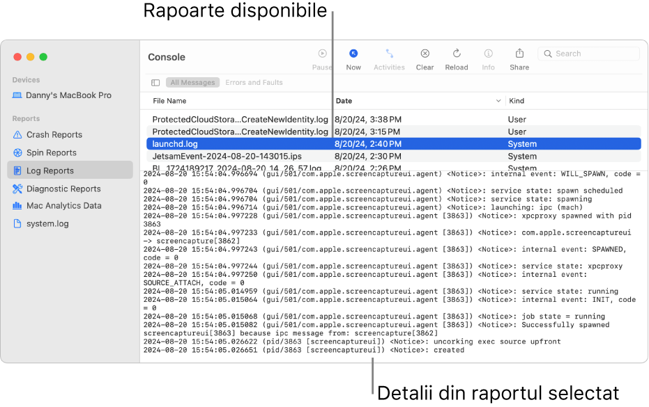 Fereastra Consolă afișând categoriile raportului în bara laterală, rapoartele în partea de sus și în partea din dreapta a barei laterale și detaliile raportului mai jos.