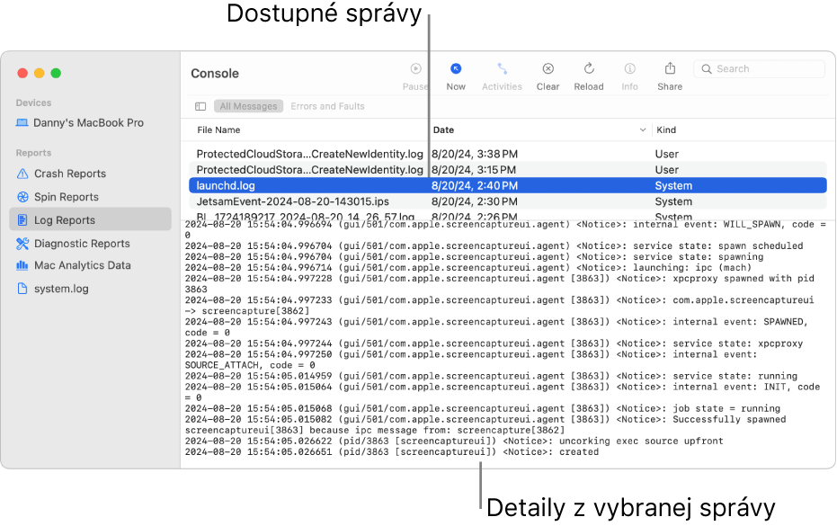 Okno Konzoly zobrazujúce kategórie hlásenia v postrannom paneli, hlásenia v hornej časti a napravo od postranného panela a podrobnosti hlásenia nižšie.