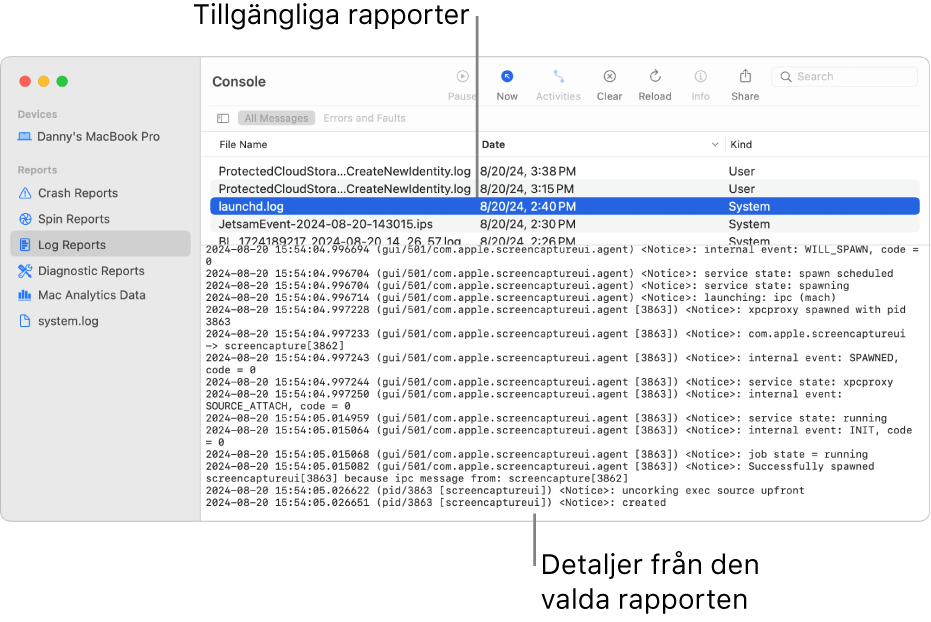 Fönstret i Systemmeddelanden med rapportkategorier i sidofältet, rapporter högst upp och till höger i sidofältet och rapportuppgifter nedanför.