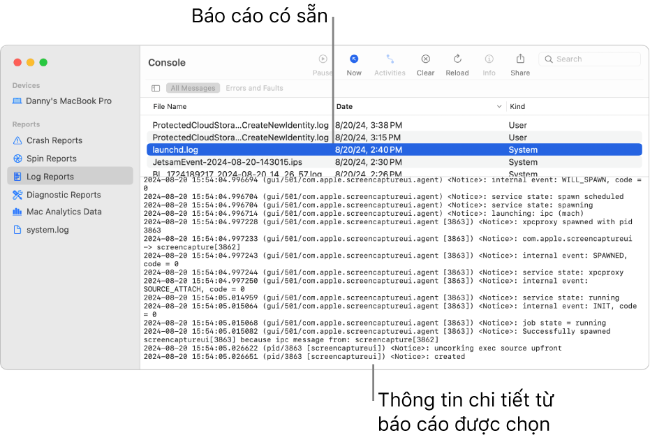 Cửa sổ Bảng điều khiển hiển thị các danh mục báo cáo trong thanh bên, báo cáo ở trên cùng và ở bên phải của thanh bên và chi tiết báo cáo bên dưới.