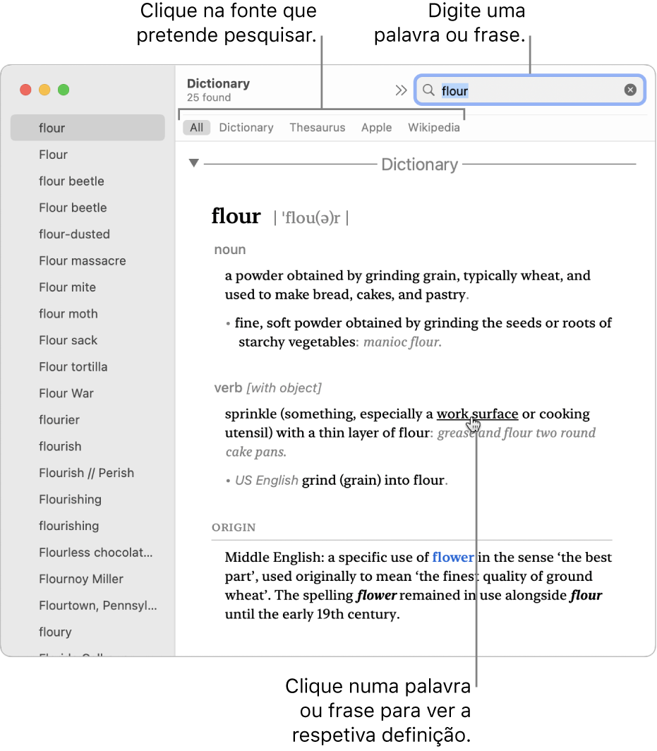 Uma janela individual do Dicionário mostrando uma definição. Clique numa palavra ou expressão para ver a respetiva definição. Para selecionar a fonte de pesquisa, clique no respetivo nome na barra de fontes, que se encontra sob a barra de ferramentas. Digite uma palavra ou frase no campo de pesquisa.