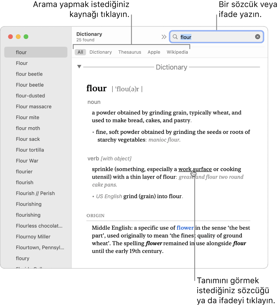 Bir tanım gösteren tam Sözlük penceresi. Tanımda yer alan bir sözcüğün ya da ifadenin tanımını görmek için o sözcüğü ya da ifadeyi tıklayın. Arama yapmak üzere bir kaynak seçmek için araç çubuğunun altındaki kaynak çubuğunda kaynağın adına tıklayın. Arama alanına bir sözcük veya sözcük öbeği yazın.