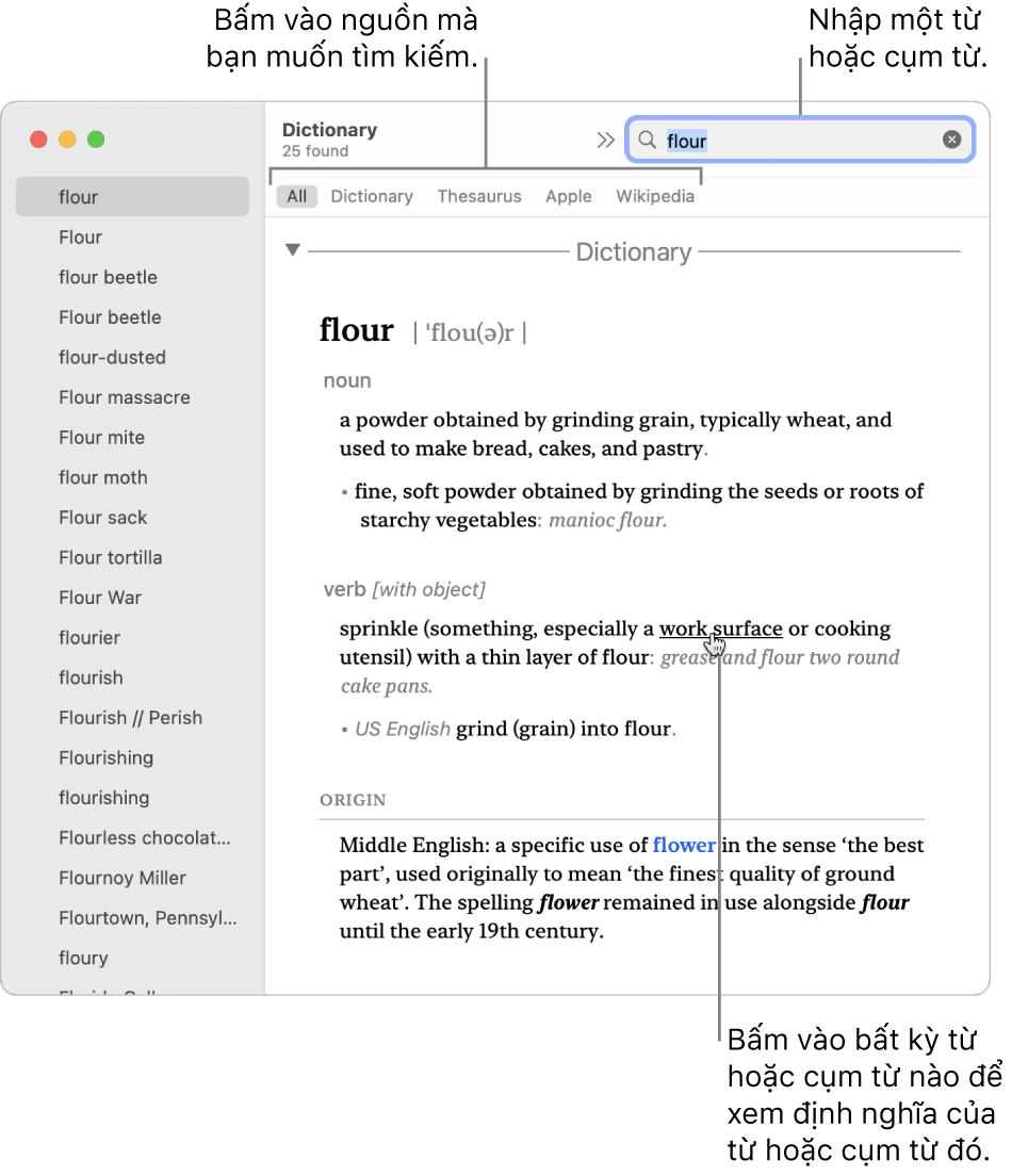 Toàn bộ cửa sổ Từ điển hiển thị một định nghĩa. Bấm vào bất kỳ từ hoặc cụm từ nào trong định nghĩa để xem định nghĩa của từ đó. Để chọn một nguồn để tìm kiếm, bấm vào tên của nguồn đó trong thanh nguồn bên dưới thanh công cụ. Nhập một từ hoặc cụm từ vào trường tìm kiếm.