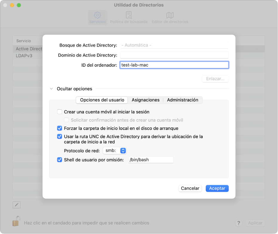 Opciones de configuración de Active Directory con la sección de opciones avanzadas expandida.