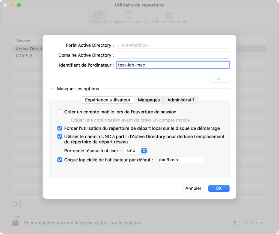 Options de configuration Active Directory avec la section relative aux options avancées développée.