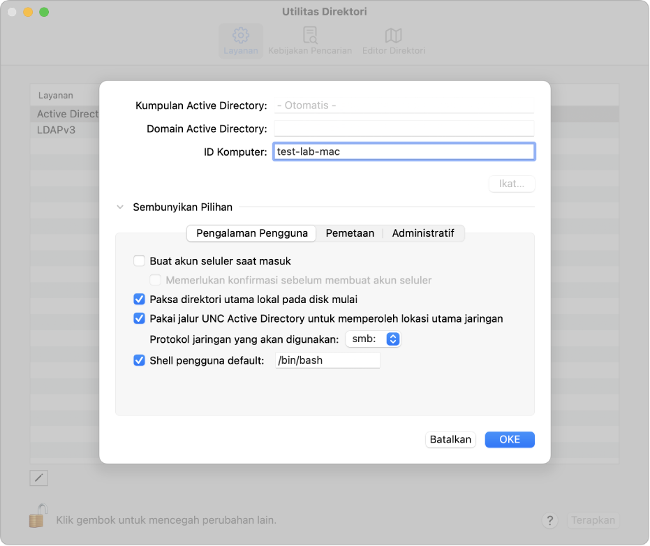 Pilihan konfigurasi Active Directory dengan bagian pilihan lanjutan yang diperluas.