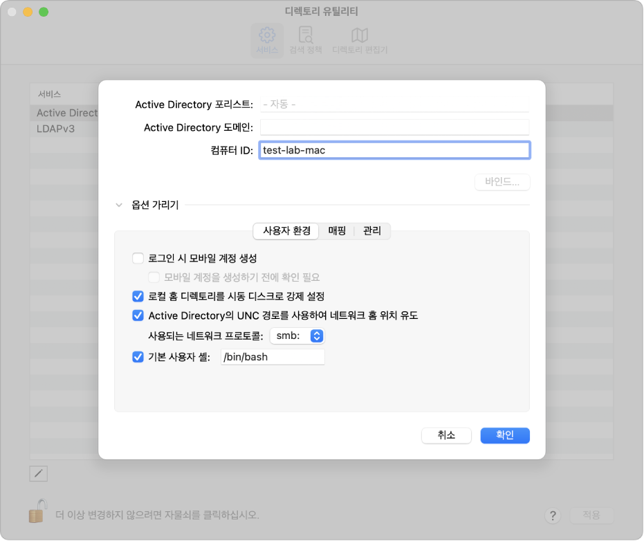 고급 옵션 섹션이 펼쳐져 있는 Active Directory 구성 옵션.