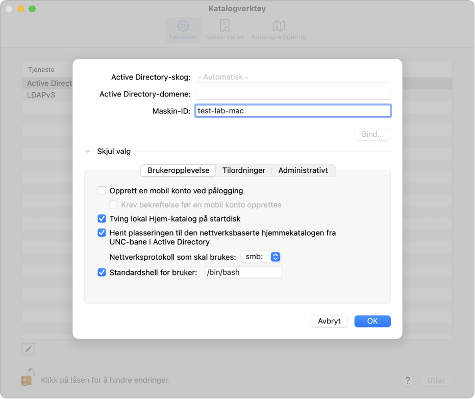 Valg for konfigurering av Active Directory med delen for avanserte valg utvidet.