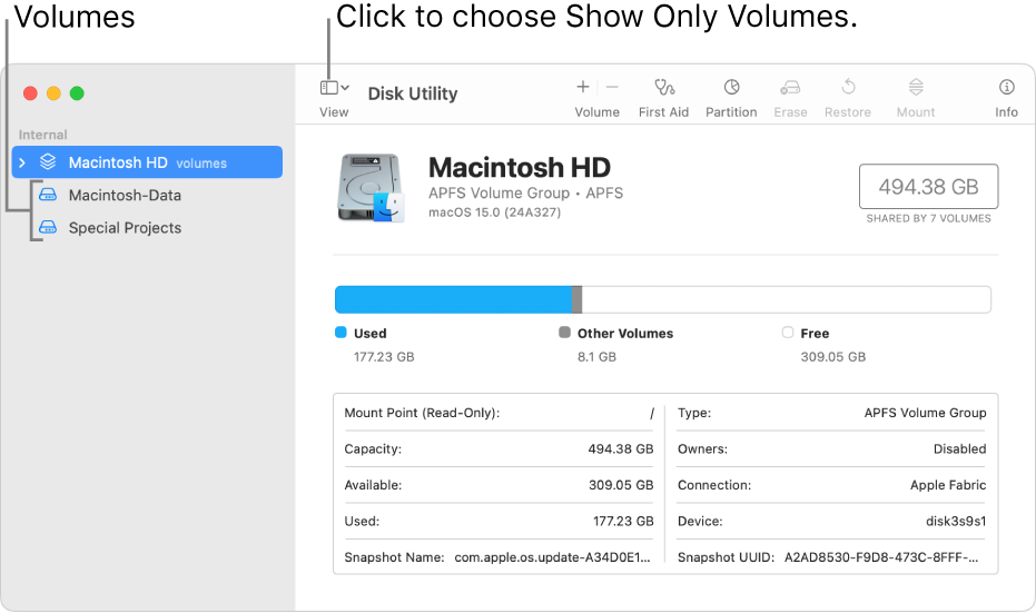 A Disk Utility window in Show Only Volumes view.