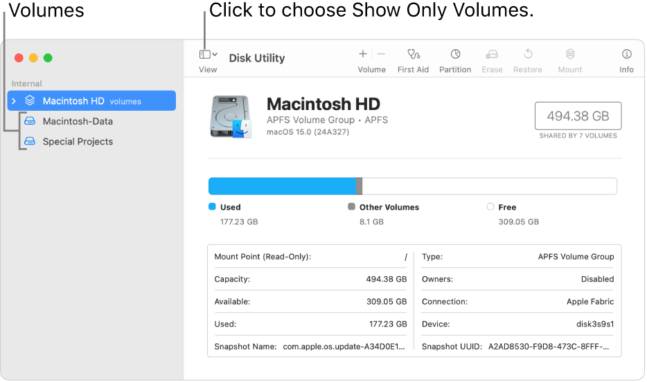 A Disk Utility window in show only volumes view.