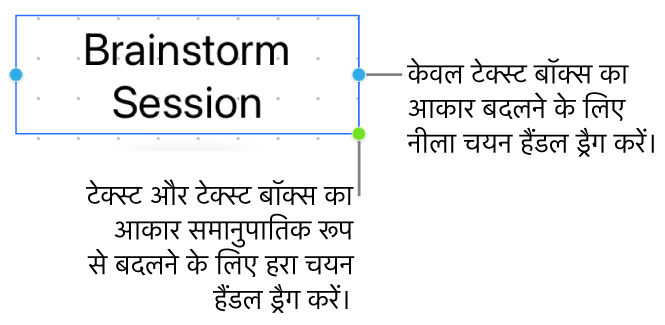 चुना हुआ टेक्स्ट बॉक्स जो नीला चयन हैंडल दिखा रहा है (जो आपको केवल टेक्स्ट बॉक्स का आकार बदलने देता है) और नीला चयन हैंडल (टेक्स्ट और टेक्स्ट बॉक्स का आकार आनुपातिक रूप से बदलने के लिए)।