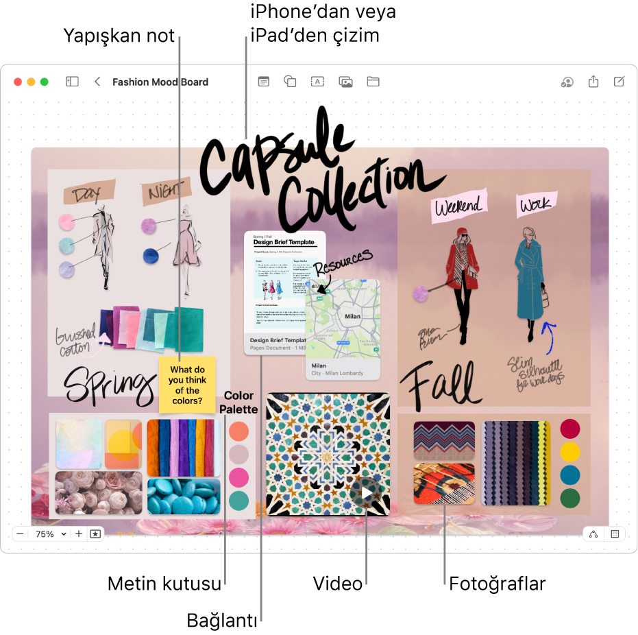 iPhone’dan veya iPad’den çizim, yapışkan not, bağlantı, metin kutusu, video ve pek çok fotoğraf gibi çeşitli öğeler içeren bir Freeform panosu.