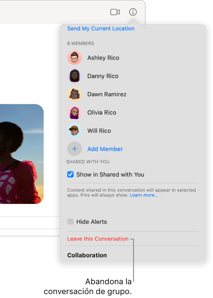 La vista de información, que aparece tras hacer clic en el botón de información en una conversación. “Abandonar conversación” está cerca de la parte inferior del cuadro de diálogo.
